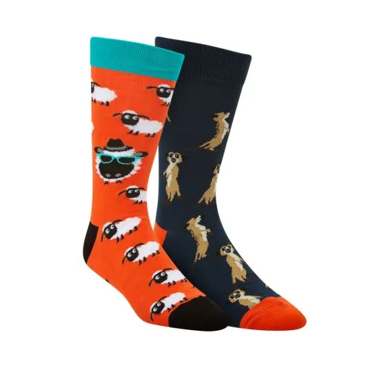 Bamboozld Baadkat Set of 2 Socks with Gift Box