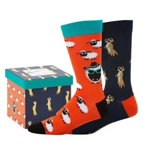 Bamboozld Baadkat Set of 2 Socks with Gift Box