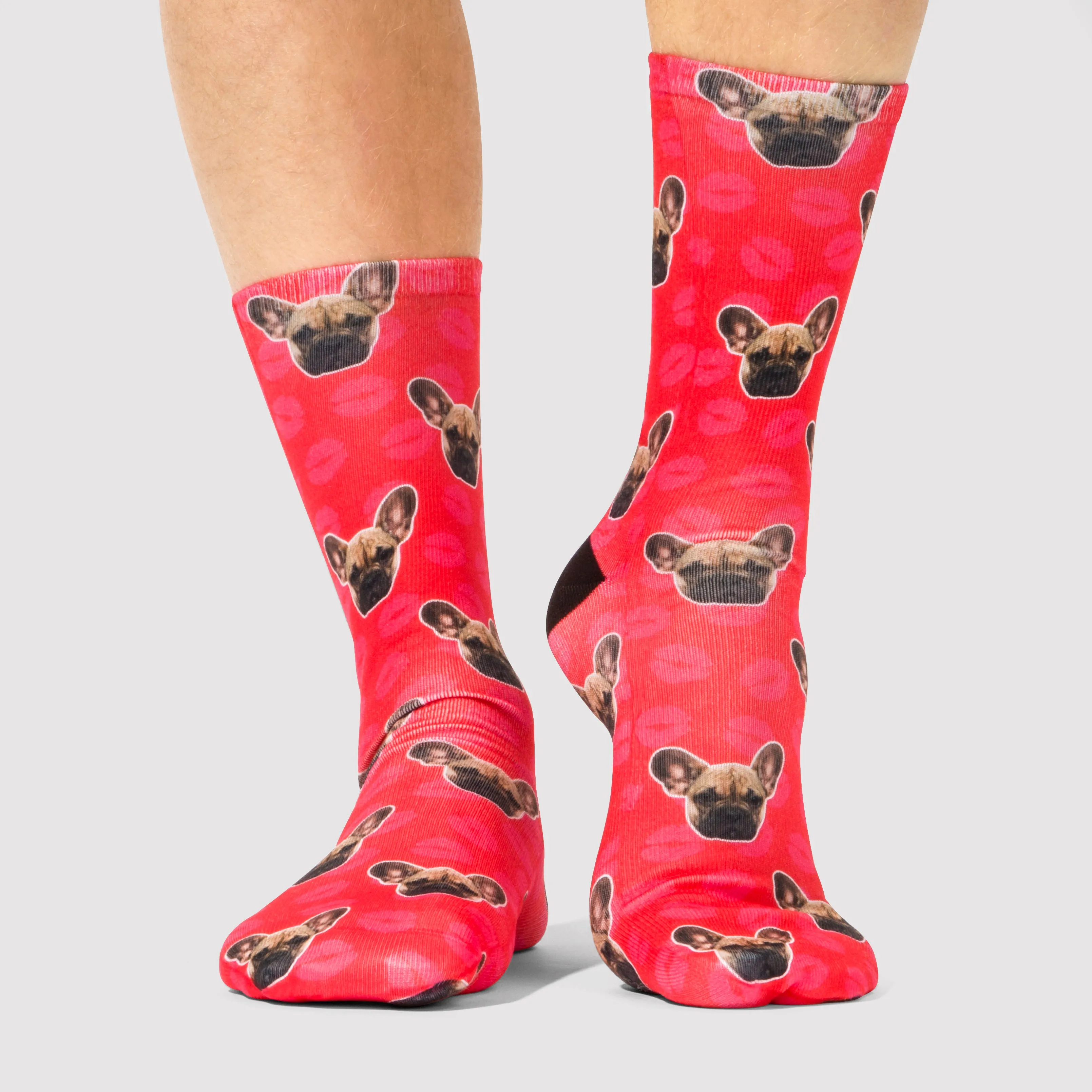 Kiss Dogsy Socks