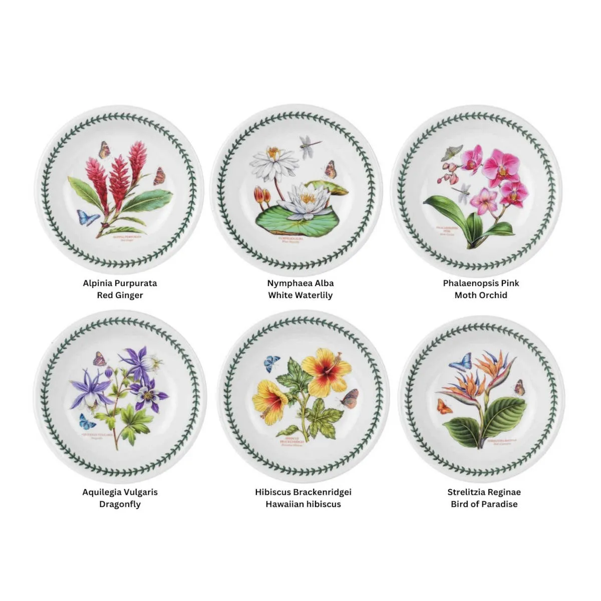 Portmeirion Exotic Botanic Garden Pasta Bowl Assorted 21.5cm (price per item)