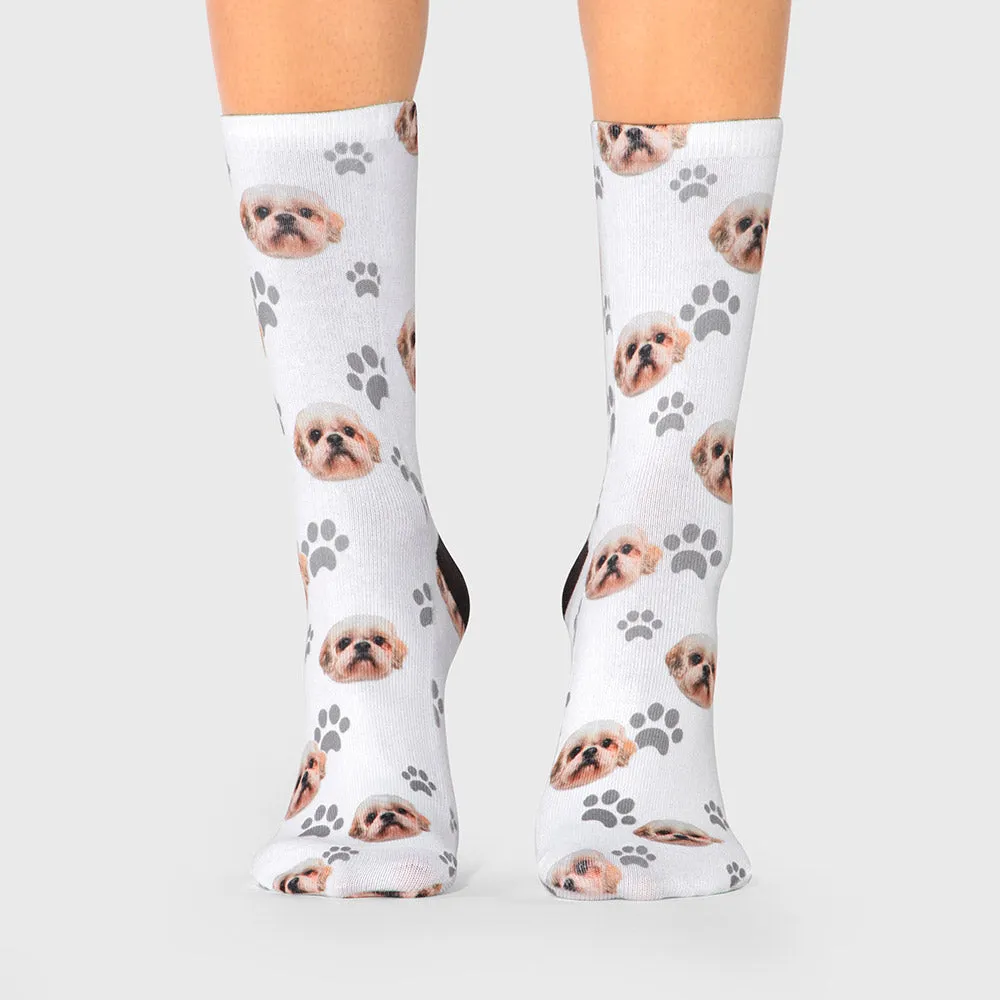 Your Dog on Socks