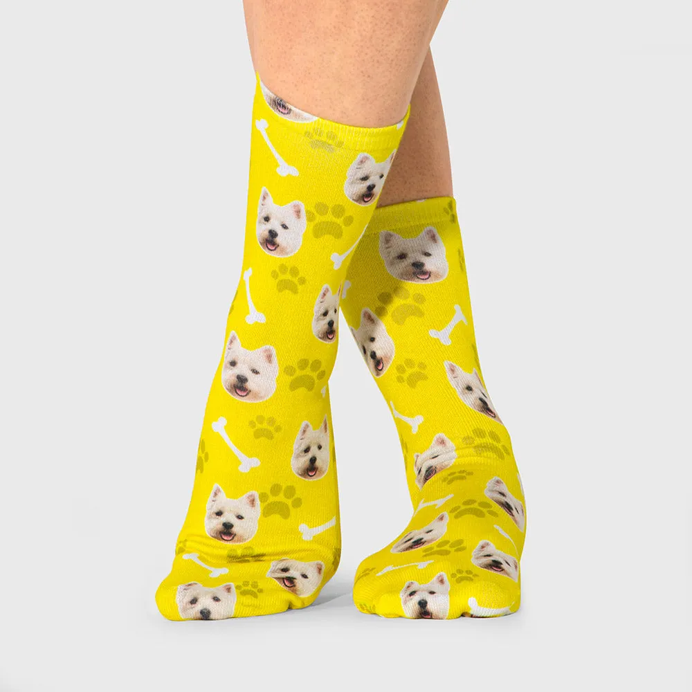 Your Dog on Socks